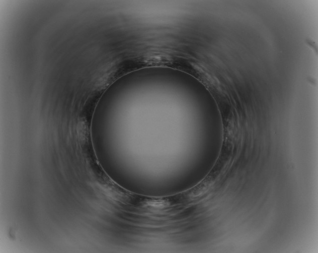 X0000091500659200708231445