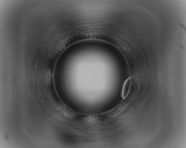 X0000091500660200708231445