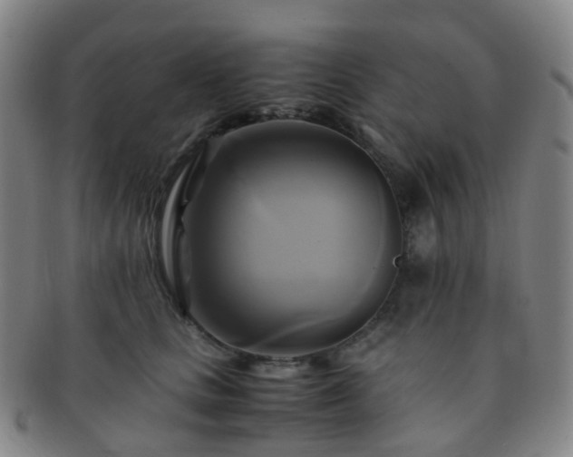 X0000091500661200708231445