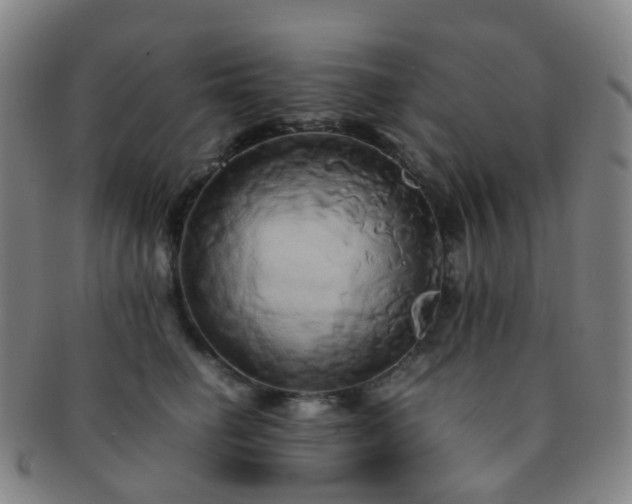 X0000091500662200708231445