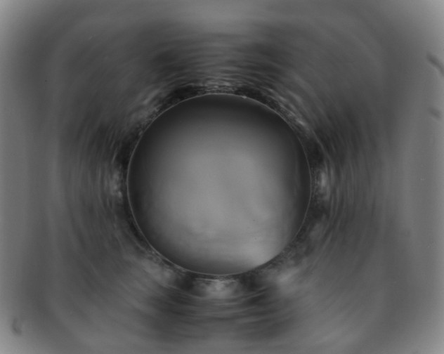 X0000091500663200708231445