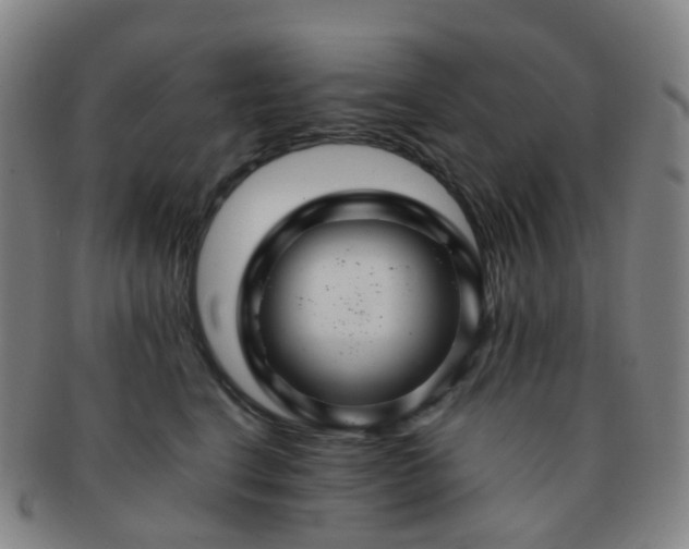 X0000091500664200708231445