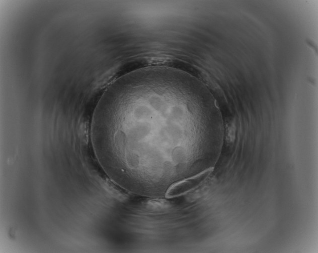 X0000091500666200708231445