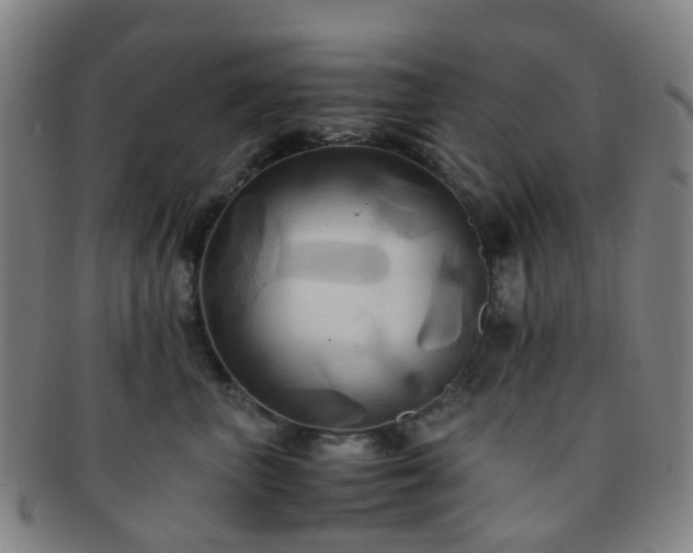 X0000091500667200708231445