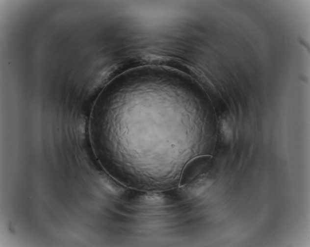 X0000091500668200708231445