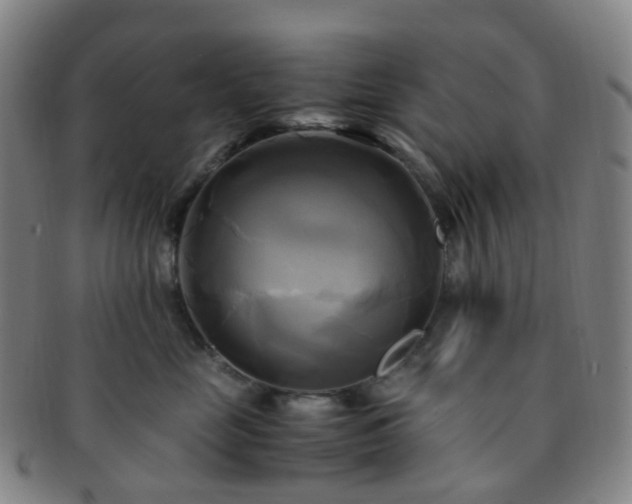 X0000091500669200708231445
