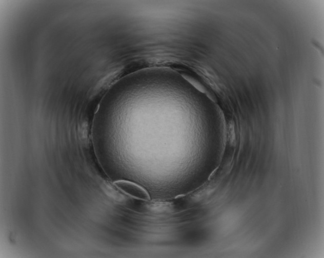 X0000091500670200708231445