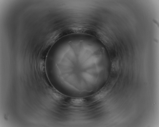 X0000091500671200708231445
