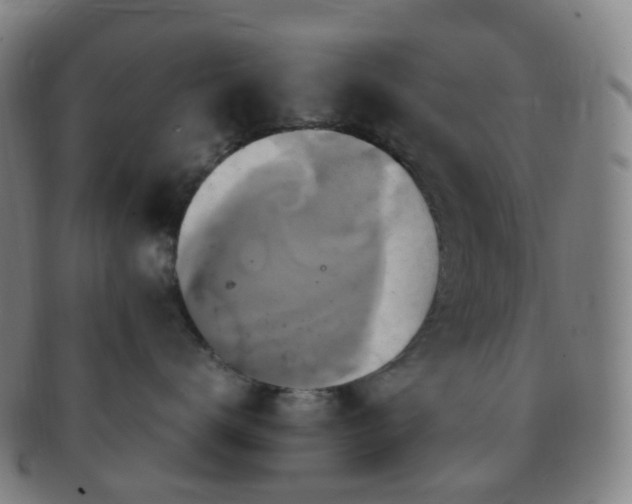 X0000091500672200708231446
