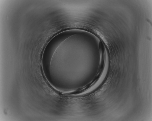 X0000091500673200708231445