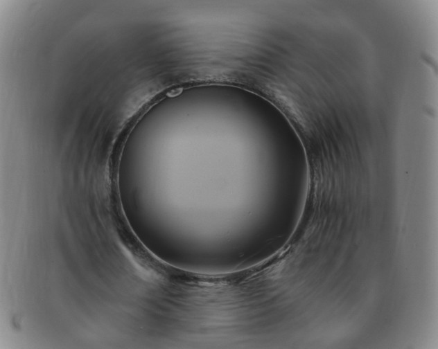 X0000091500674200708231445