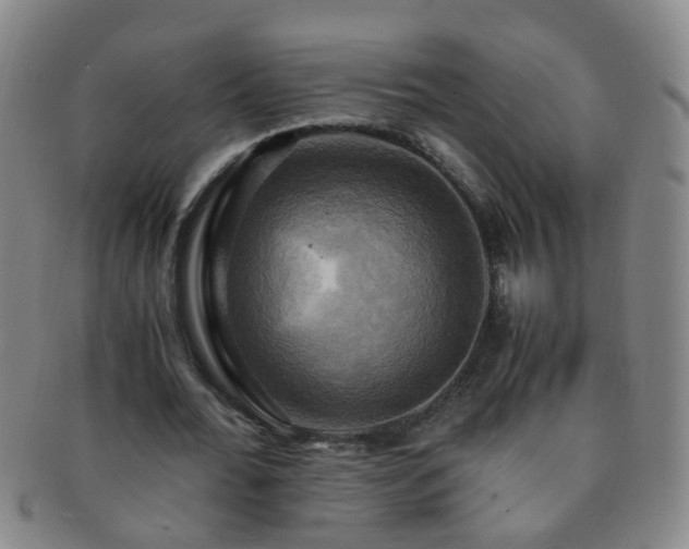 X0000091500676200708231445