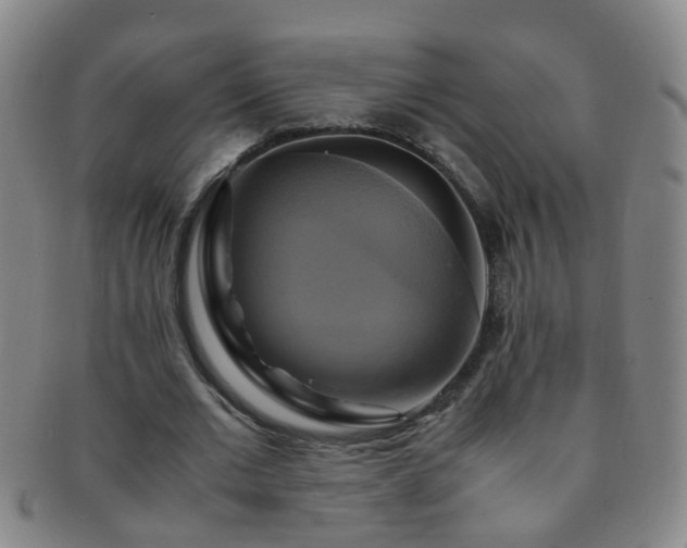 X0000091500677200708231445