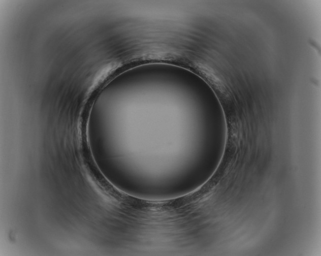 X0000091500678200708231445