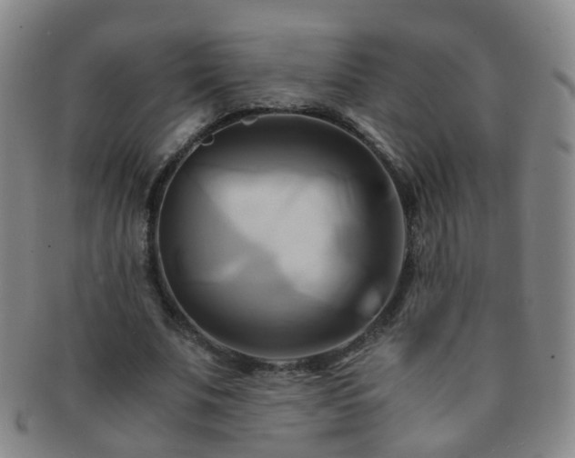 X0000091500679200708231445