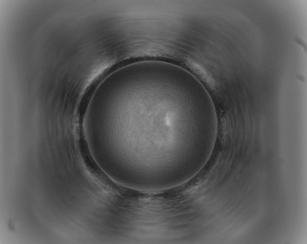 X0000091500680200708231445