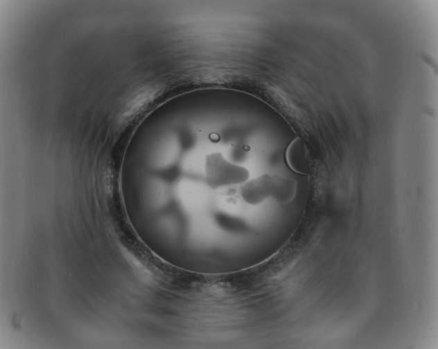 X0000091500683200708231445