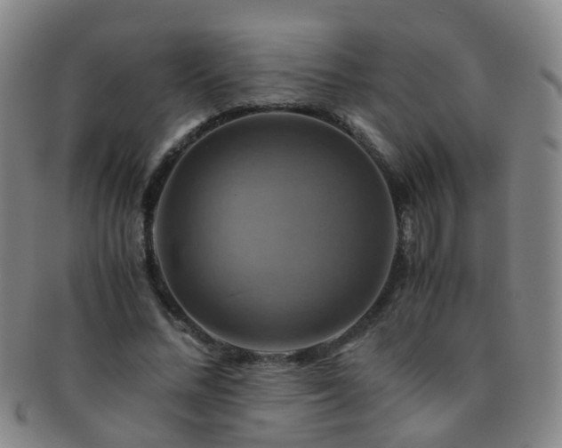 X0000091500684200708231445