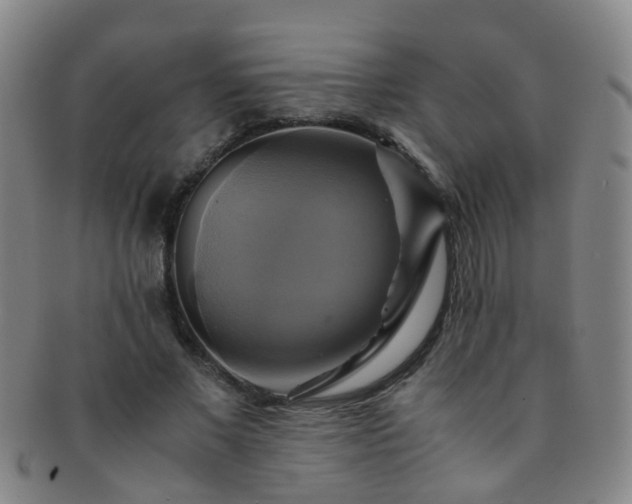 X0000091500685200708231445