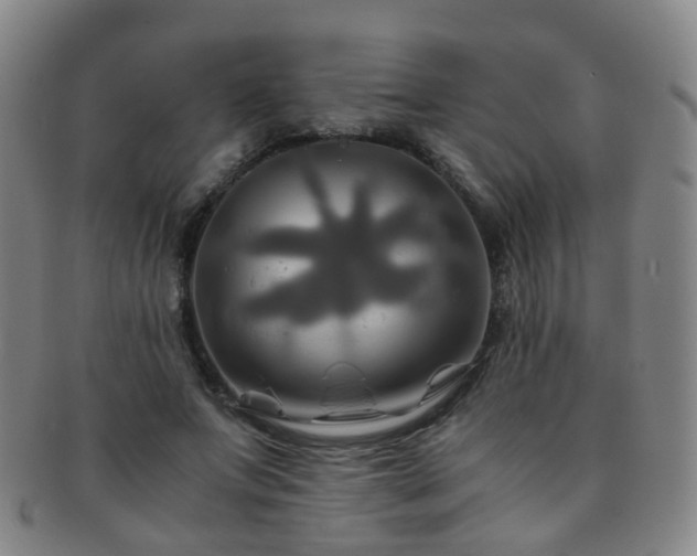 X0000091500687200708231444