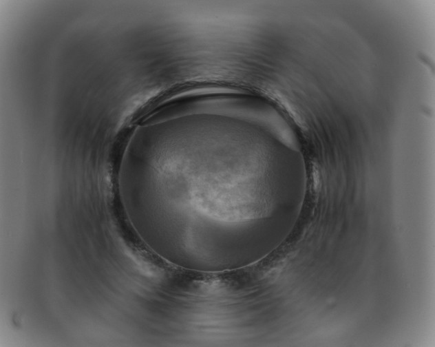 X0000091500688200708231444