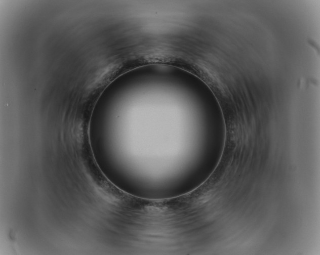 X0000091500690200708231444