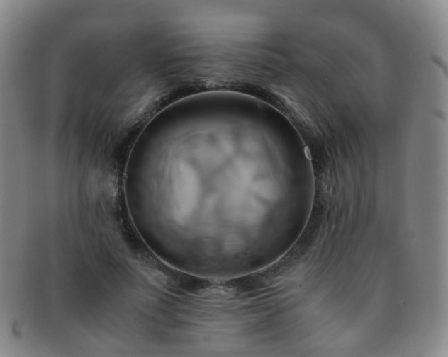 X0000091500691200708231444