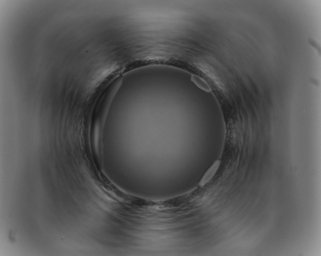 X0000091500692200708231444