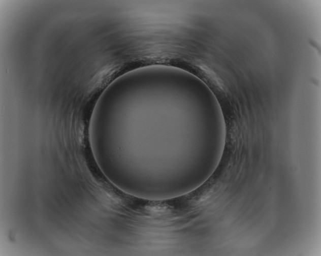 X0000091500693200708231444
