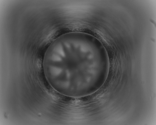 X0000091500695200708231444