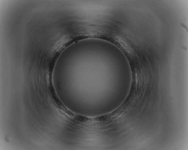 X0000091500696200708231444