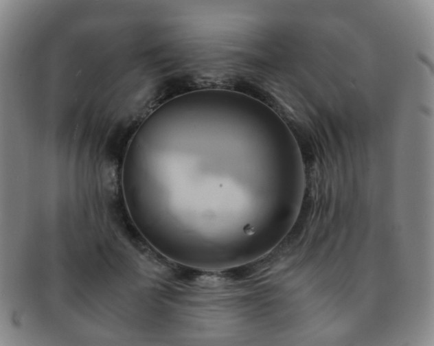 X0000091500699200708231444