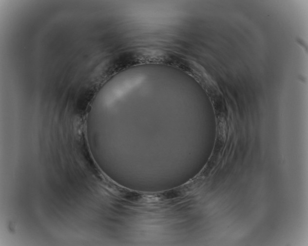 X0000091500701200708231444