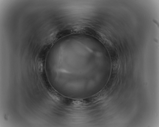 X0000091500703200708231444
