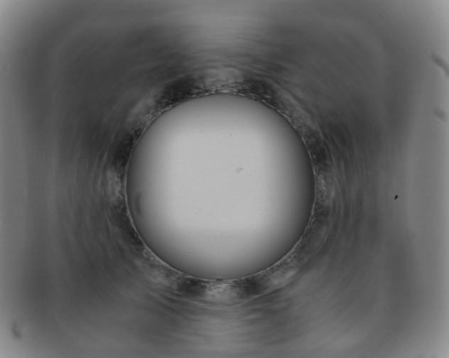 X0000091500705200708231444