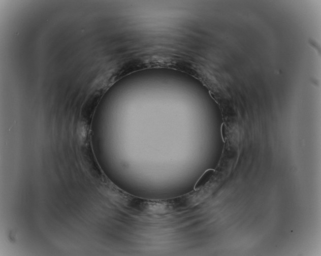 X0000091500709200708231444