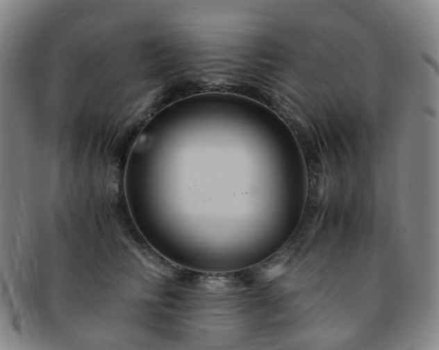 X0000091500710200708231444
