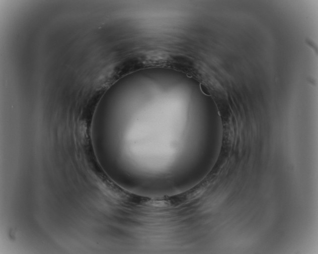 X0000091500711200708231444