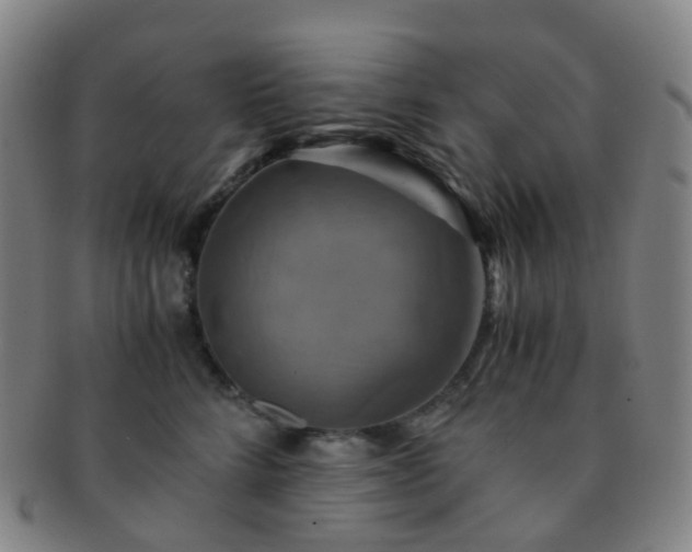 X0000091500712200708231444