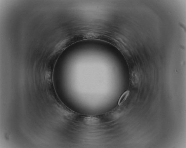 X0000091500714200708231444