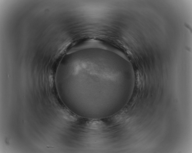 X0000091500716200708231444