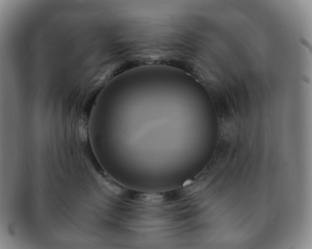 X0000091500719200708231444