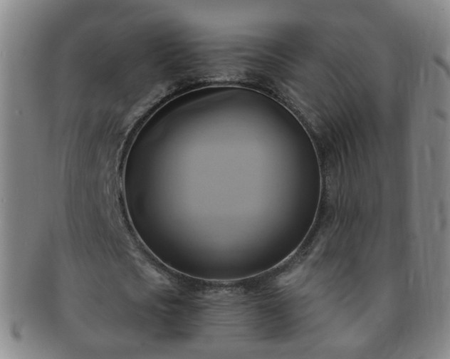 X0000091500721200708231443