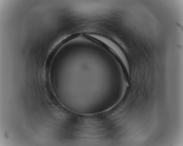 X0000091500722200708231443