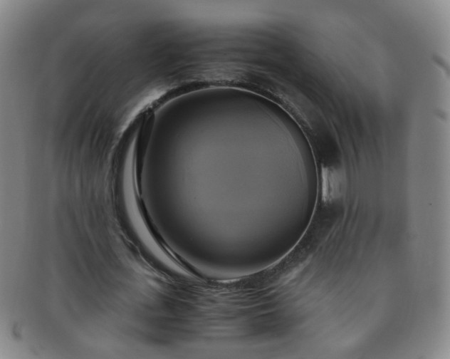 X0000091500723200708231443