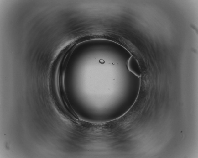 X0000091500728200708231443