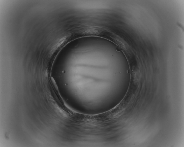 X0000091500729200708231443