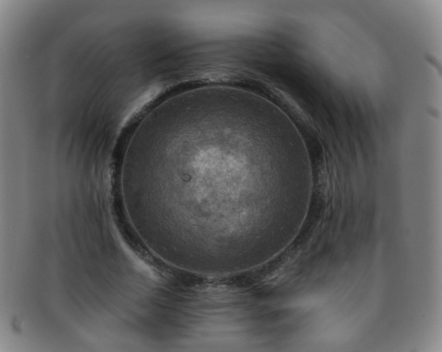 X0000091500730200708231444