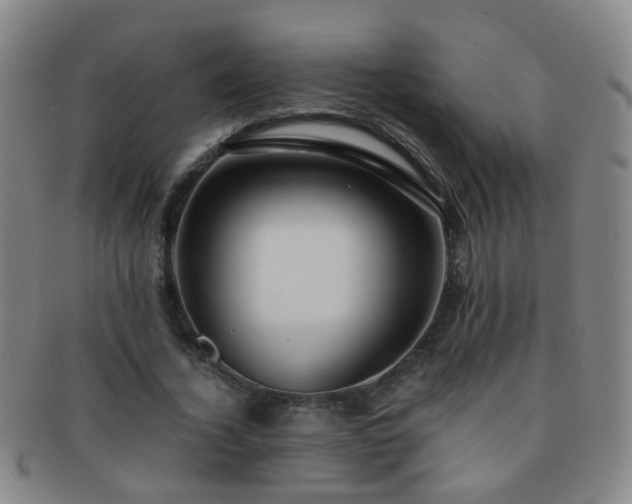 X0000091500732200708231444