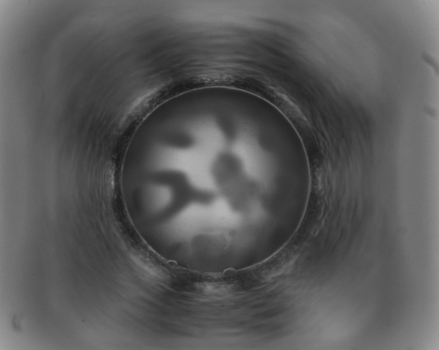 X0000091500733200708231444